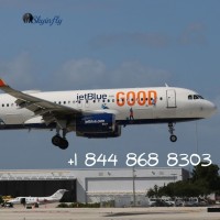 JetBlue Airways Flight Booking  Deals 1 844 868 8303